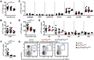 The Concerted Action of E2-2 and HEB Is Critical for Early Lymphoid Specification